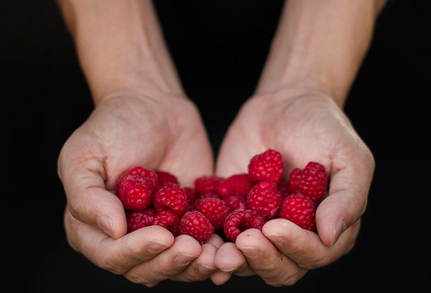 A handful of raspberries or two