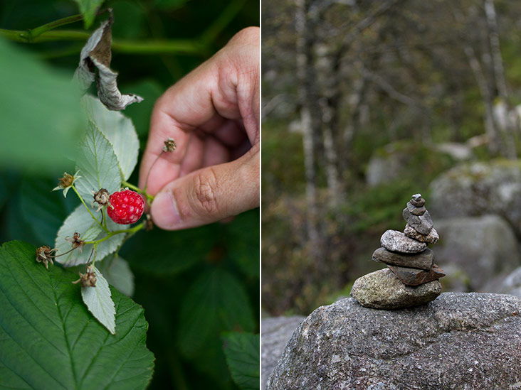 Wild berries ripe for picking (left). Stone “stupa” constructed by hikers (right).