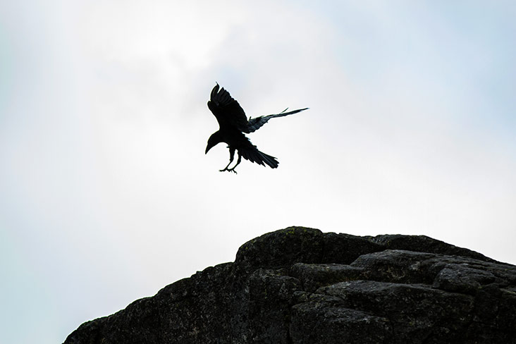 A feathered landing.