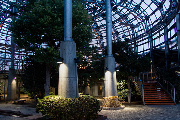 EGG (Ever Green Garden) is an indoor vertical park.
