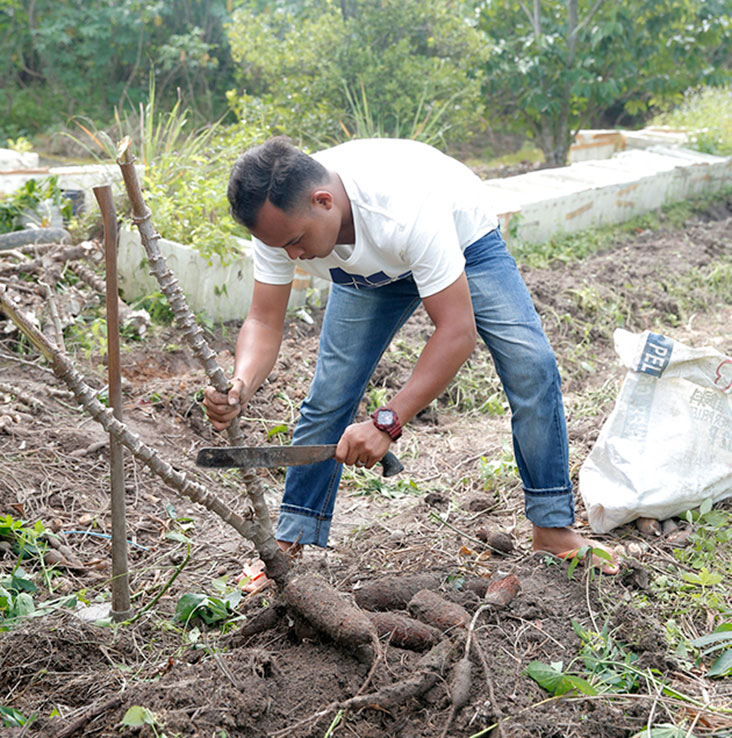 Tapioca is cut to make the kuih
