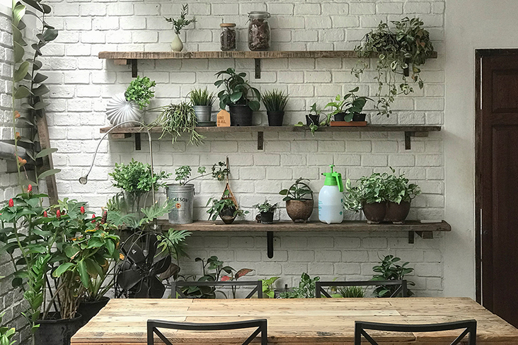 Experience home-cooked food surrounded by an indoor garden