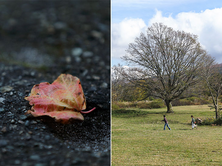 Solitary leaf fallen on the ground (left). Children at play (right).
