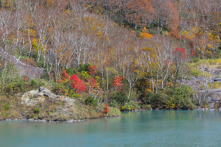 The cerulean waters of Jigokudani Lake.