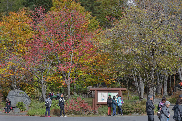 Different groups, mostly domestic tourists, setting out on their hikes.