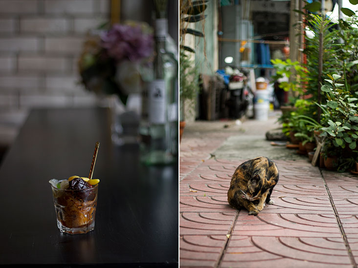 A nostagia-evoking affogato with ABC (ais batu campur) style toppings (left). A stray cat stands guard at the entrance of Aoon (right).