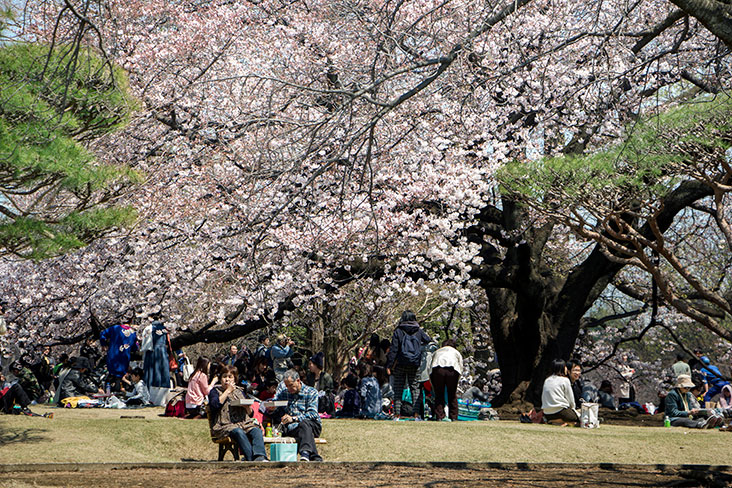 Springtime is a time for picnics.
