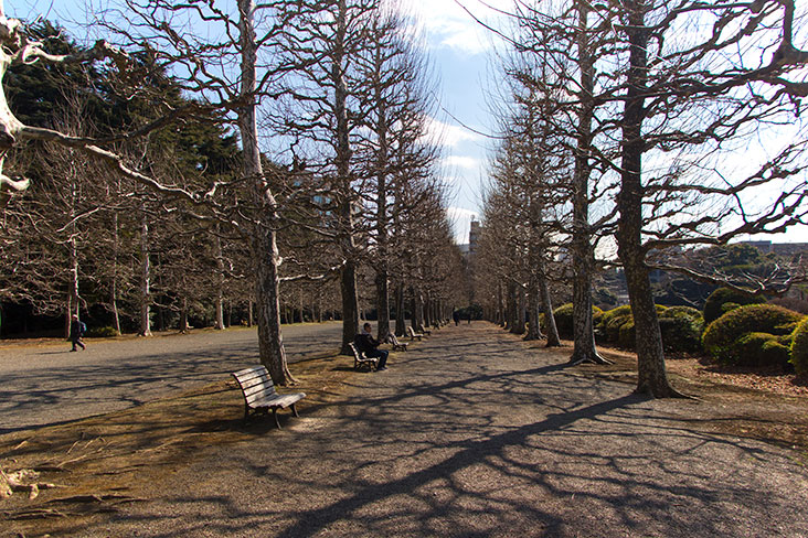 The long shadows of winter.