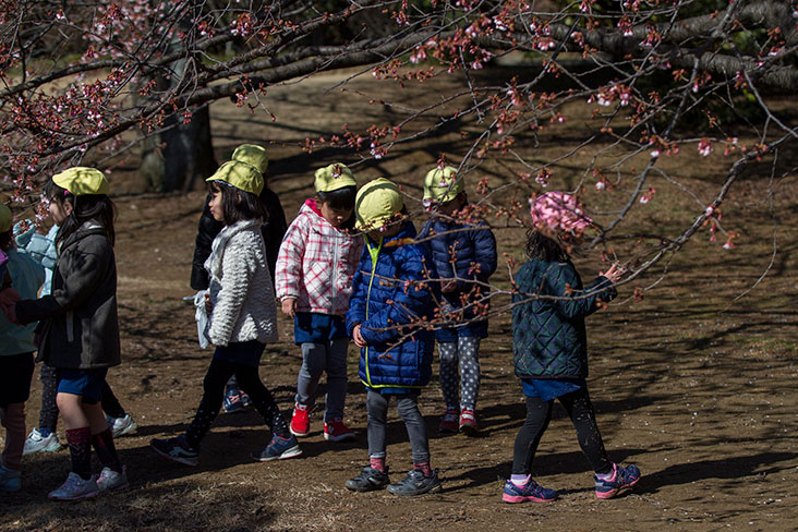 Schoolchildren explore the park in orderly lines.
