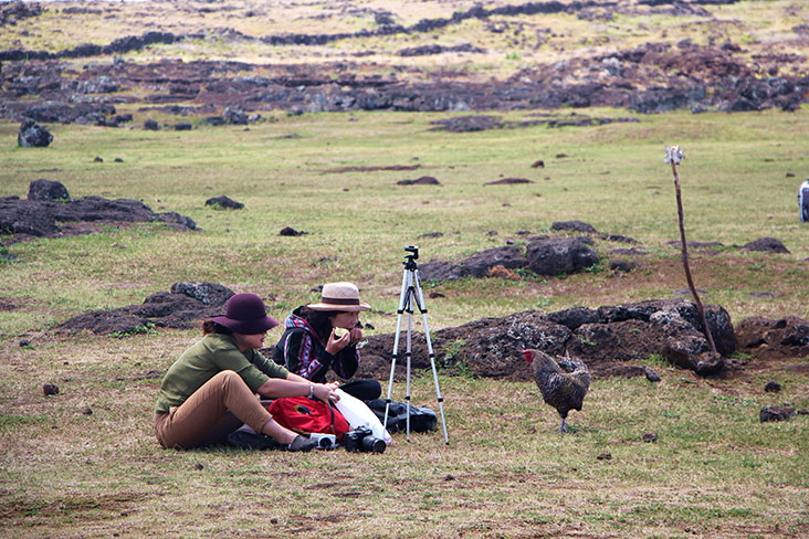 Photographers being approached by a curious chicken.