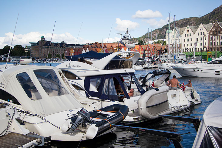 Sun bathing by the dock.
