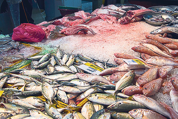 The day’s catch laid out on ice