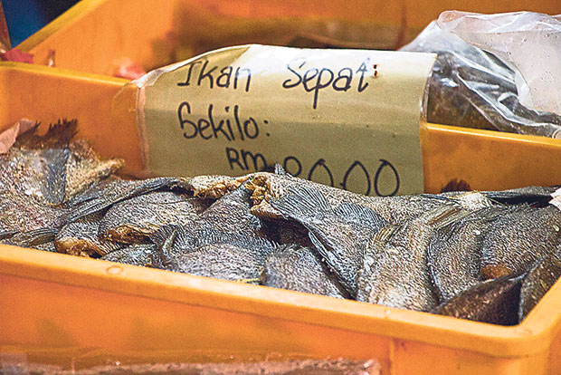 Salted fish (ikan sepat)