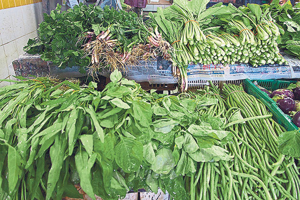 Fresh, leafy green vegetables galore