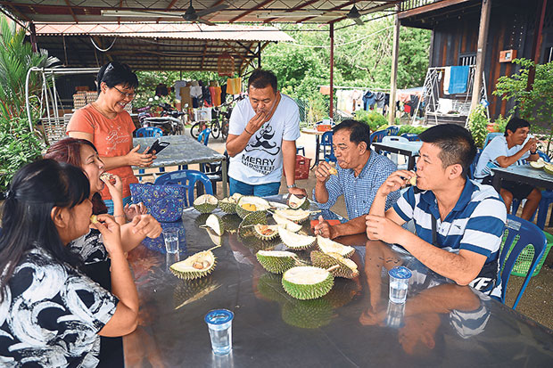 Customers at the Lim Brothers Farm having a durian feast