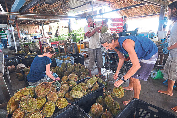 Work exchange participants helping out at Bao Sheng Farm