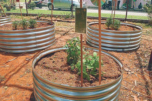 The edible garden was built in a day together with about 60 volunteers from the institute