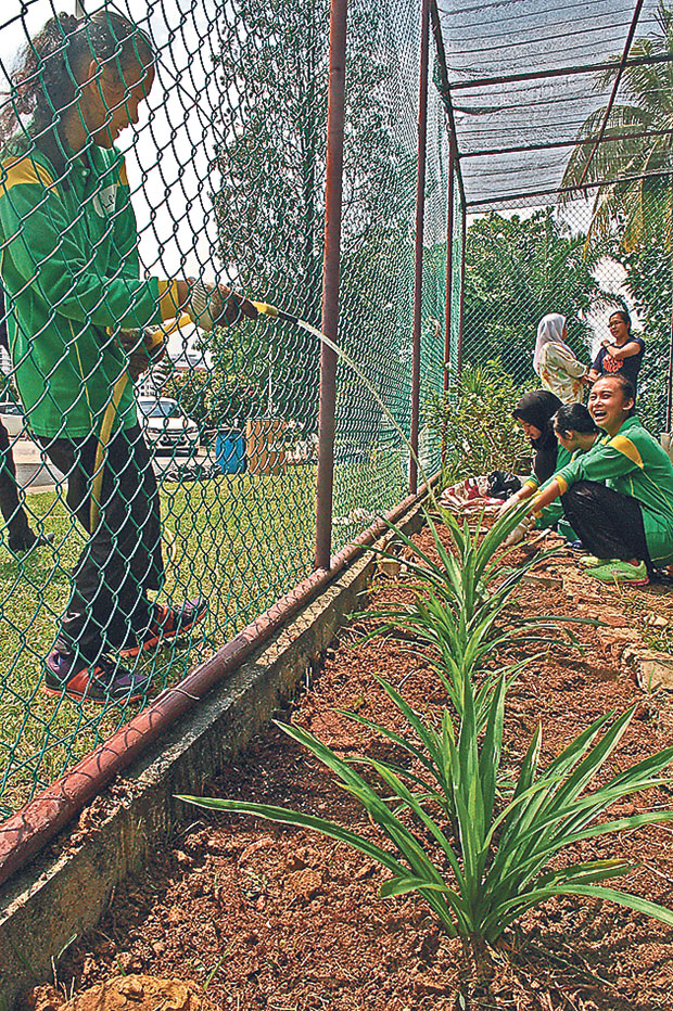 Keeping the plants hydrated is an important aspect to keeping the edible garden going