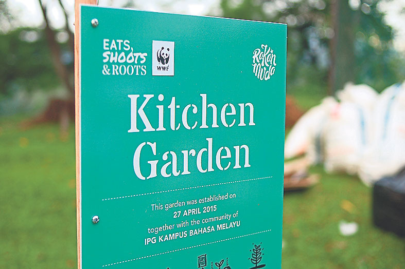 As part of the Rakan Muda Showcase of Talent roadshow, Eats, Shoots & Roots collaborated with WWF Malaysia and IPG Malaysia to build an edible kitchen garden