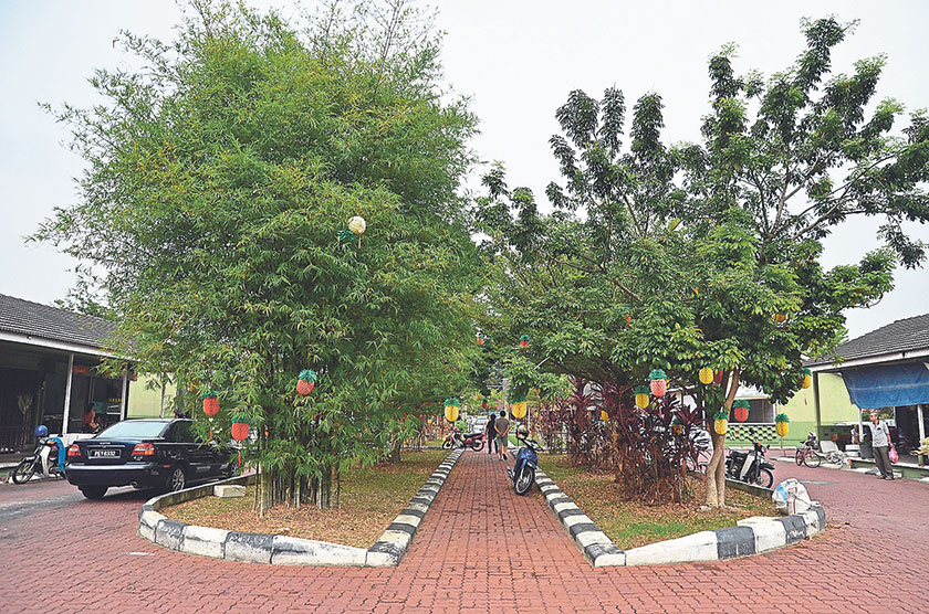 The leafy Canning Garden market