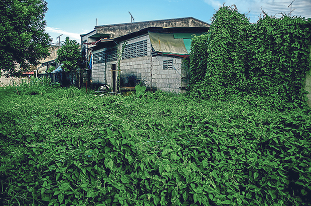 KG Krishnan explores the spaces in between bouts of urbanisation