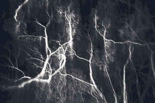 After attending a photography workshop by Maggie Steber during the 2014 Obscura Festival, Nadia produced a series titled “Into Nothingess”