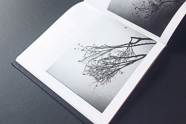 Nadia’s “Is This The End” photobook was self-published in 2014