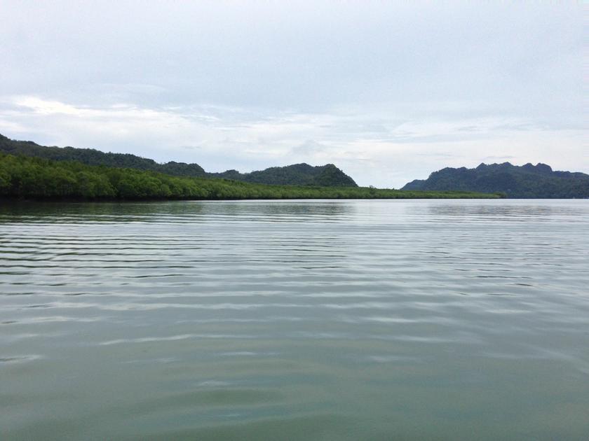 The mangrove safari that is one of the more popular activities takes guests on a 360 degrees tour of the main Island with regular sightings of animals, especially birds.