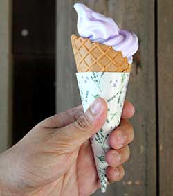 Try some lavender ice-cream!