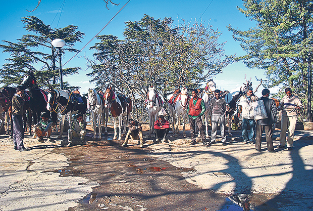 A memorable experience for Nita Katcharath who visited Shimla, Himachal Pradesh’s idyllic gem