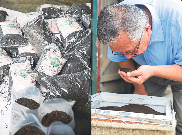 Packets of tea being packaged (left). Ooi is very hands-on in the business, doing quality control all the time (right)