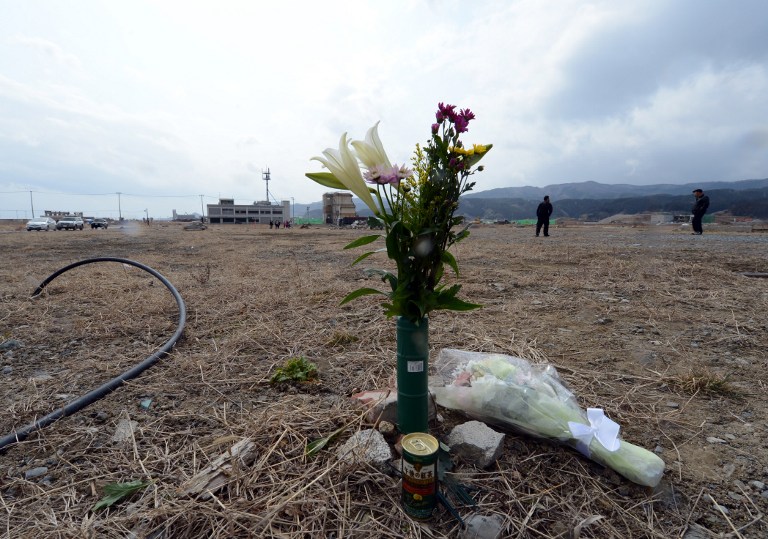 A bouquet of flowers stands out amongst the landscape, placed to mourn victims after a memorial ceremony to commemorate the second anniversary of huge March 11 earthquake and tsunami disasters in Rikuzentakata on March 10, 2013. u00e2u20acu201c AFP pic