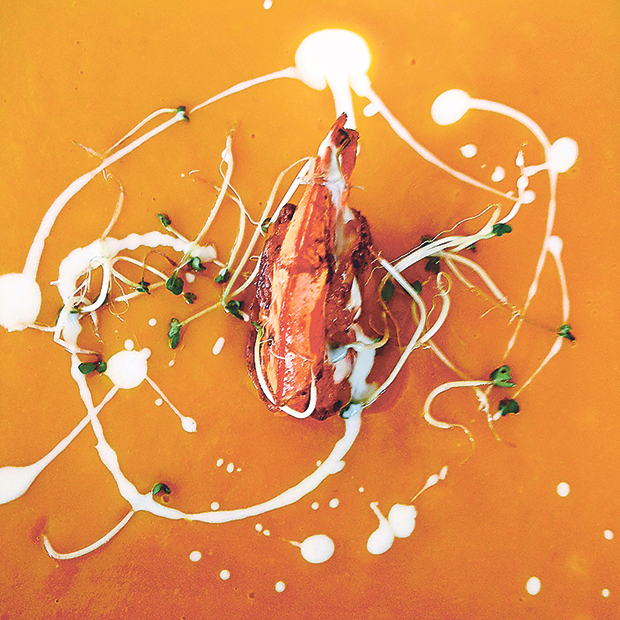 Thick and creamy pumpkin soup with grilled tiger prawn and yoghurt