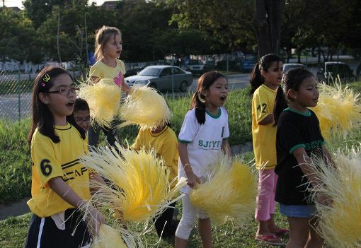 The government and sports minister can replicate the successful community football model, says Zaini.