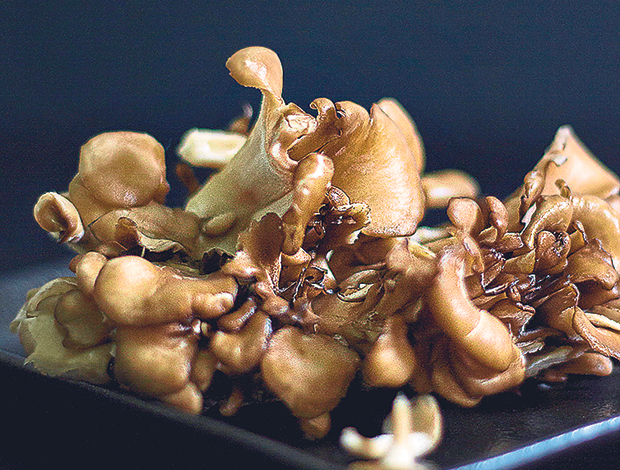Maitake, which means “dancing mushroom” in Japanese, has a whole range of health benefits