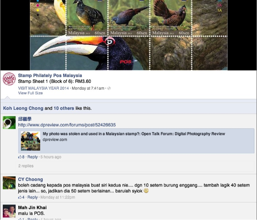 Facebook comments with one user sharing Ocon's allegations that Pos Malaysia used his photograph for its yet-to-be-released bird stamps. The poster has been since been taken offline.
