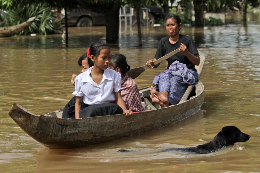 A girl looks at a swimming dog as people make their way through a flooded village in Kandal province October 1, 2013. u00e2u20acu201d Reuters pic