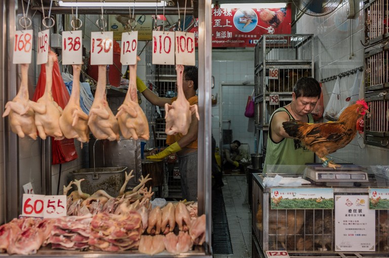 A man weighs a chicken in a poultry market in Hong Kong on May 24, 2013. u00e2u20acu201d AFP pic