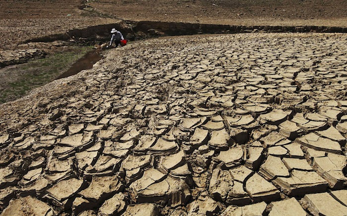 A man fetches water from a partially dried-up reservoir in Taizhou, Zhejiang province August 17, 2013. u00e2u20acu201d Reuters pic