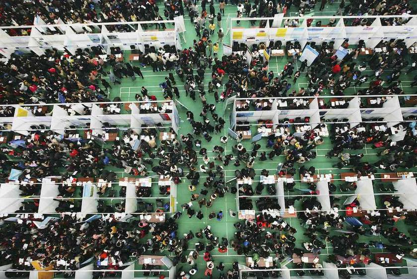 Job seekers attend a job fair at Tianjin University November 22, 2013. u00e2u20acu201d Reuters pic