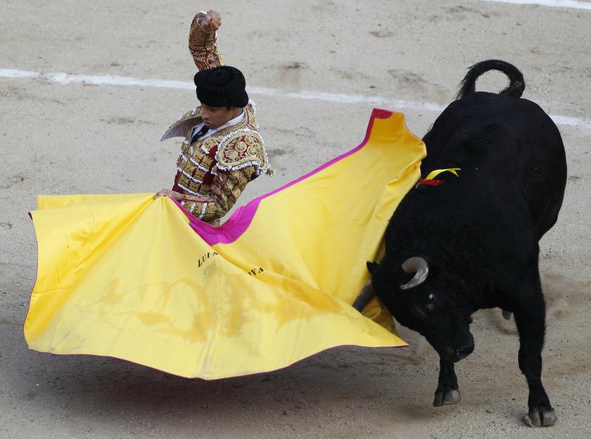 Colombian bullfighter Luis Bolivar performs a pass during a bullfighting festival at the Canaveralejo bullring in Cali December 28, 2013. u00e2u20acu201d Reuters pic