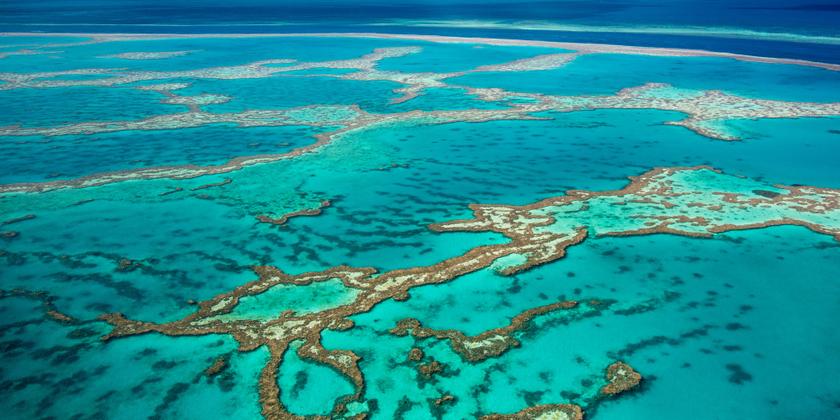 Conservationists have warned it could hasten the demise of the reef, which is already considered to be in 'poor' health, with dredging smothering corals and seagrasses and exposing them to poisons and elevated levels of nutrients. u00e2u20acu201d AFP pic