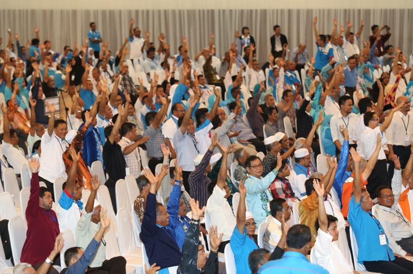 Delegates at the PKR National Congress raise their hands to vote a motion on November 24, 2013 at the Dewan Raja Muda Musa, Kompleks Belia & Kebudayaan Negeri Selangor, Shah Alam.