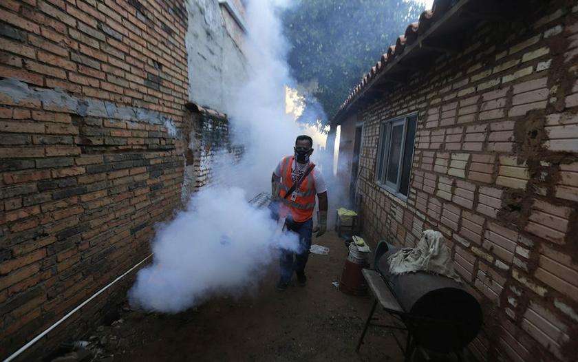 There have been over 95,000 dengue cases in the country so far, nearly three times what was recorded last year. — Reuters pic