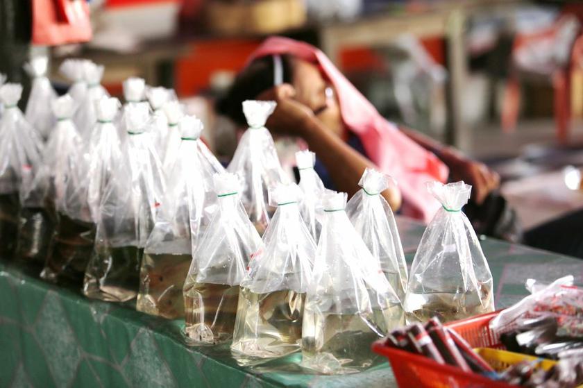 Fish,eel, frogs and tortoise being sold at Donggongon Tamu (Pasar Donggongon) in Penampang, Sabah. u00e2u20acu201c Picture by Choo Choy May