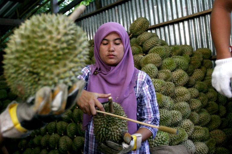 A Muslim woman sells durian fruits at a market in Yala province on July 9, 2009.u00c2u00a0u00e2u20acu201c AFP pic