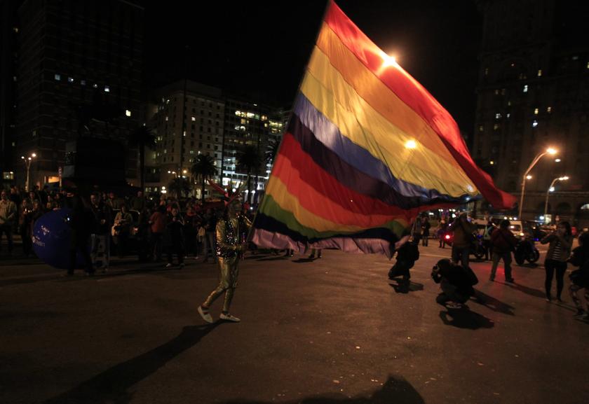 A reveller waves a flag during a gay pride parade, organized by the lesbian, gay, bisexual, and transgender (LGBT) community, in downtown Montevideo September 27, 2013.u00c2u00a0u00e2u20acu201d Reuters pic