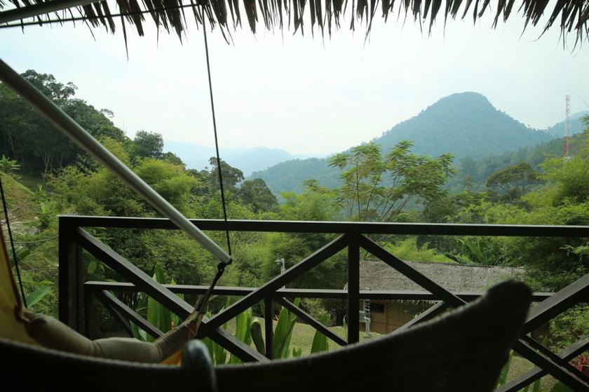 View from one of the rooms in Adeline's Villa. u00e2u20acu201d Picture by Choo Choy May