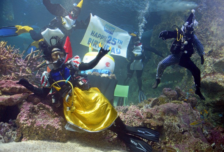 Aquarists in fancy dress swim in the Great Barrier Reef exhibit at the SEA LIFE Sydney Aquarium on June 25, 2013 to celebrate 25 years of operation. – AFP pic