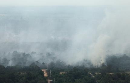 An aerial view of smoke rising from burnt trees during the haze in Indonesiau00e2u20acu2122s Riau province on June 28, 2013. u00e2u20acu201d Reuters pic